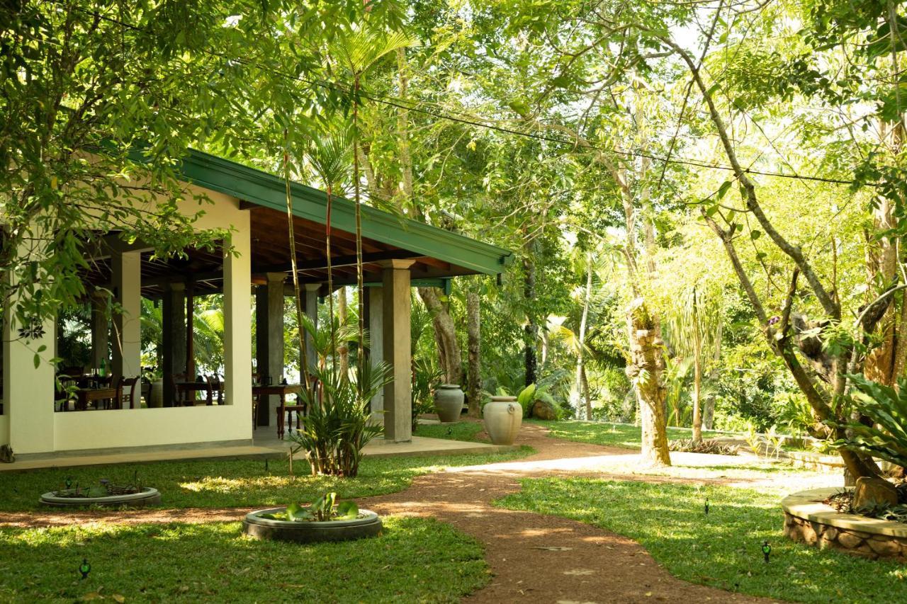 Villa Birdlake Hikkaduwa Zewnętrze zdjęcie