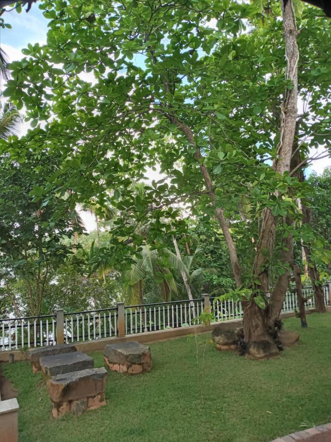 Villa Birdlake Hikkaduwa Zewnętrze zdjęcie